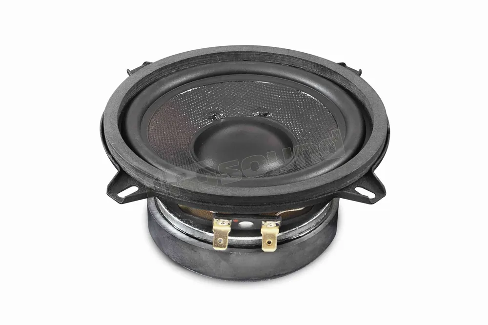 Electronic Melody MCS5 sub 13cm Subwoofer - Subwoofer