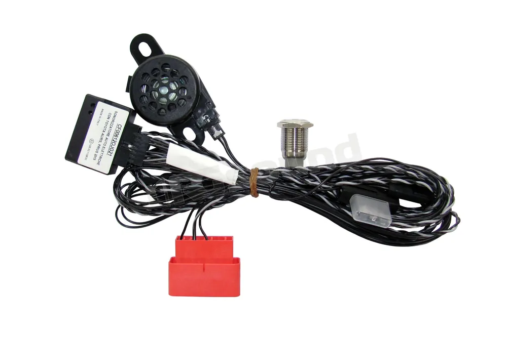 Paser CF00612OJG21 per veicoli elettrici Toyota Interfacce - Servizi