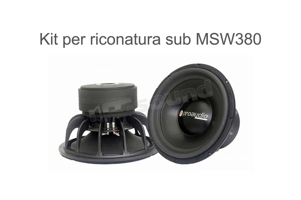 Proaudio R-MSW380 kit riconatura sub R-MSW380 Accessori altoparlanti