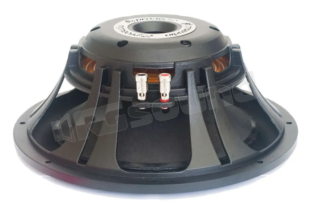 Proaudio CSW250N Subwoofer - Subwoofer