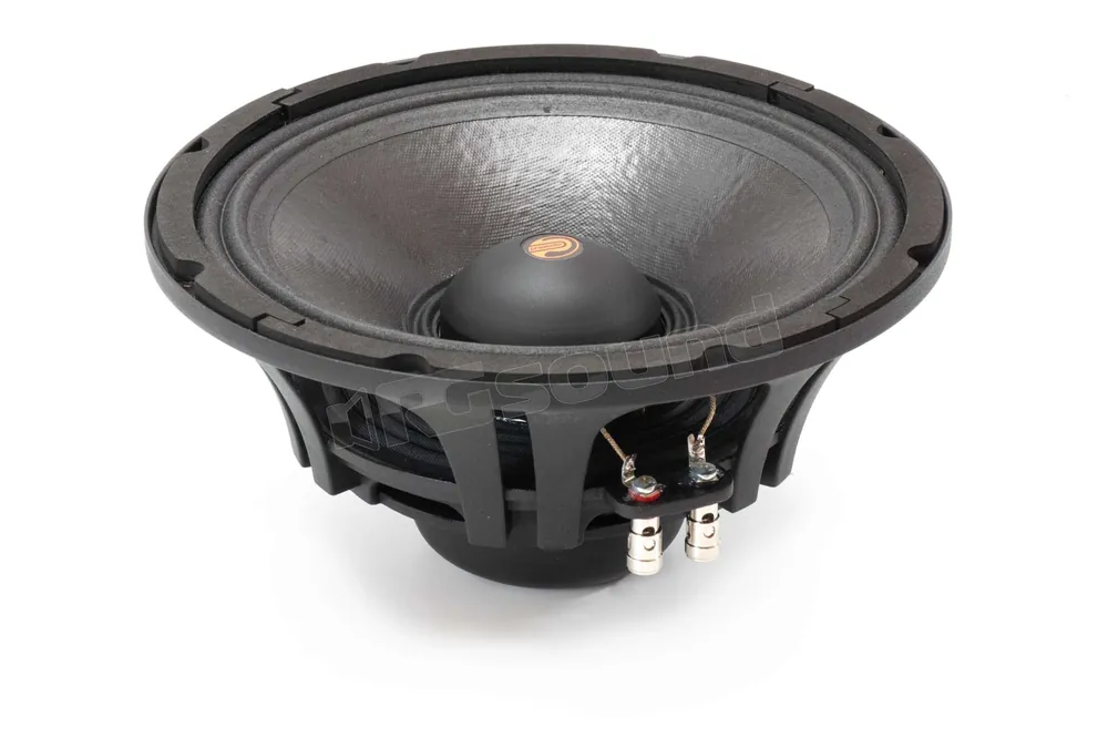 Proaudio C250 extended range ad alta efficienza 25cm Altoparlanti -