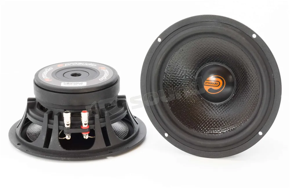 Proaudio A165 Altoparlanti - Woofer e Midwoofer