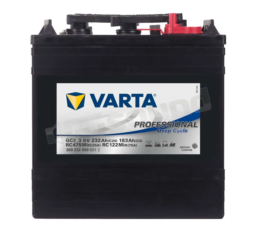 Varta GC2-3 300232000B912 Professional Deep Cycle Batterie per avvia