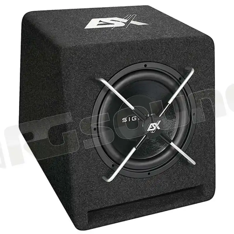 ESX SE200 SIGNUM Subwoofer - Subwoofer in cassa