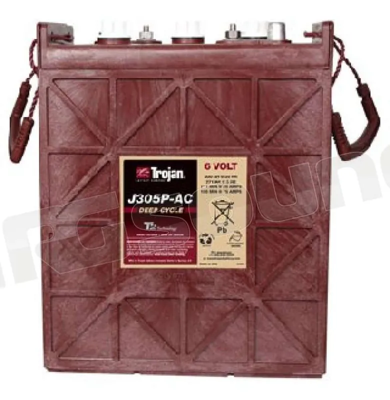 Trojan J305P-AC 6V deep-cycle Batterie per avviamento e servizi - Ba