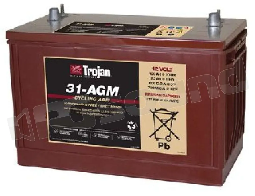 Trojan 31-AGM 12V deep-cycle Batterie per avviamento e servizi - Bat