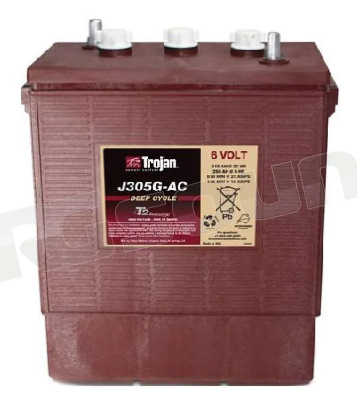 Trojan J305G-AC 6V deep-cycle Batterie per avviamento e servizi - Ba