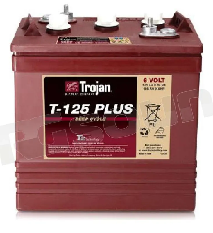 Trojan T125+ 6V deep-cycle Batterie per avviamento e servizi - Batte