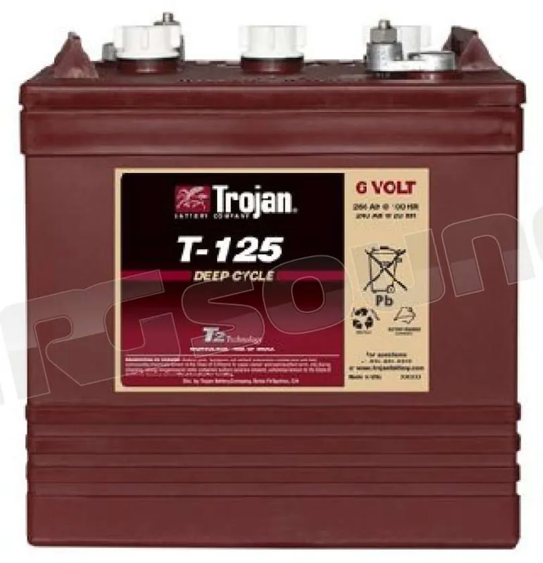 Trojan T125 6V deep-cycle Batterie per avviamento e servizi - Batter