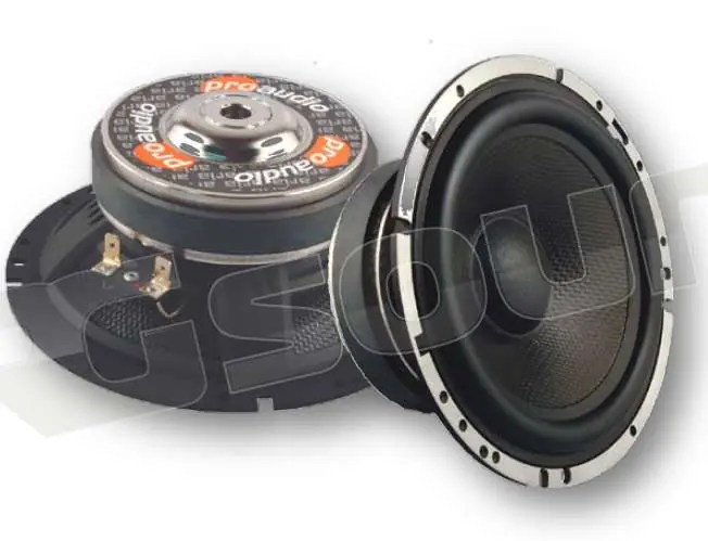 Proaudio WFA165 Altoparlanti - Woofer e Midwoofer