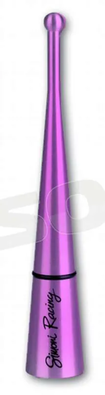 Simoni Racing ASR/01P Antenne 8V Esterni - Antenne