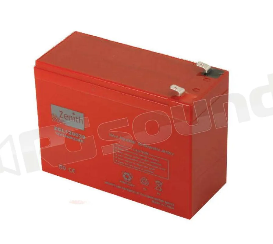 Zenith ZGL120030 12v 10Ah Batterie per avviamento e servizi - Batter
