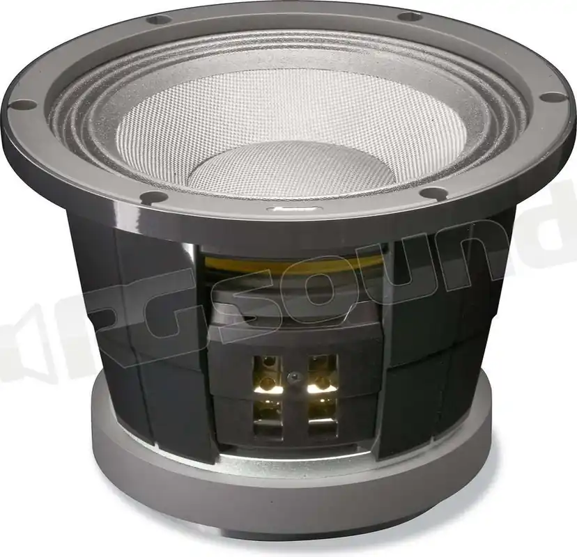 Pioneer TS-W252PRS Subwoofer - Subwoofer