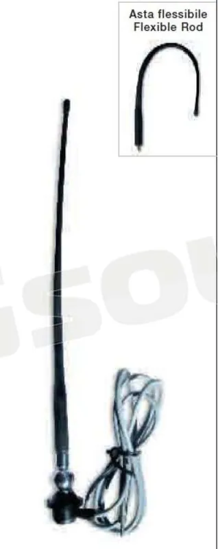 Calearo 7667003 Antenne - AM / FM