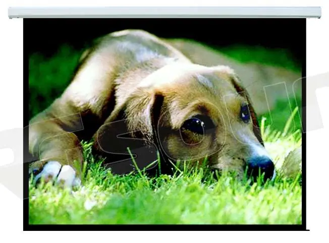 Prandini TPT1 Supporti TV LCD Plasma Proiettori - Supporti e teli p