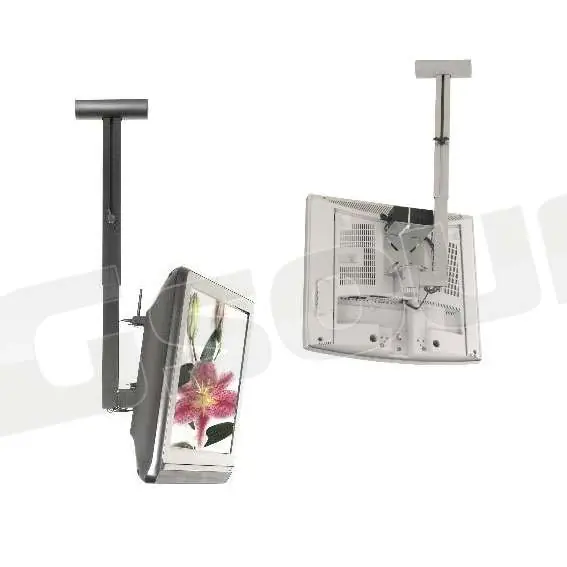 Prandini 504 Supporti TV LCD Plasma Proiettori - Supporti da soffit