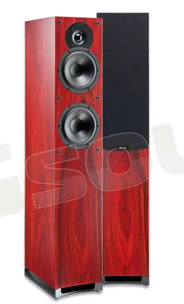 Indiana Line Musa 505 Diffusori Home e Home Theatre - Diffusori Hom