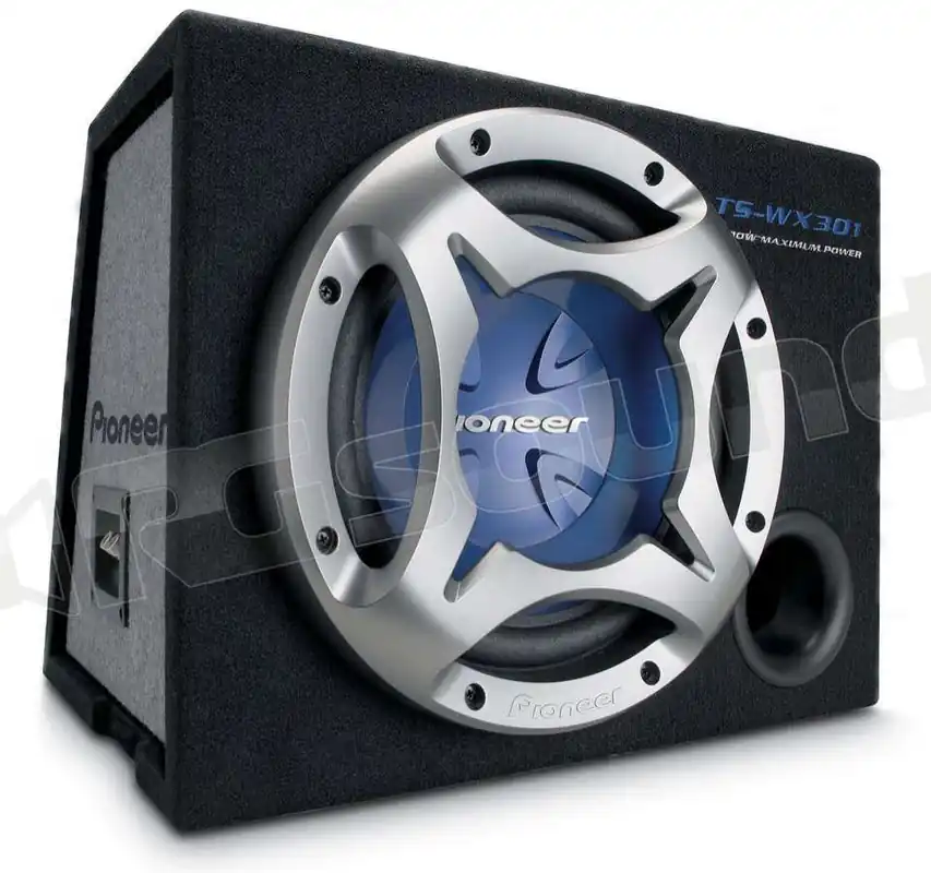 Pioneer TS-WX301 Subwoofer - Subwoofer in cassa