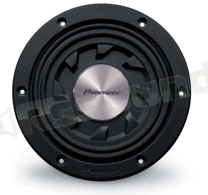 Pioneer TS-SW841D Subwoofer - Subwoofer