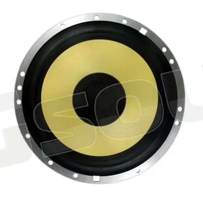 Proaudio WF165 Altoparlanti - Woofer e Midwoofer