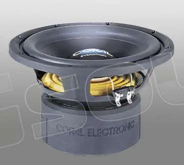 Coral Electronic EVO 220 Subwoofer - Subwoofer