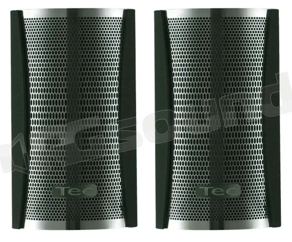 Tec Surface TW tweeter planare Altoparlanti - Tweeter