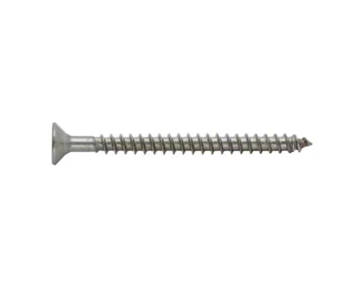 VITE TRUCIOLARE INOX A2 4X20