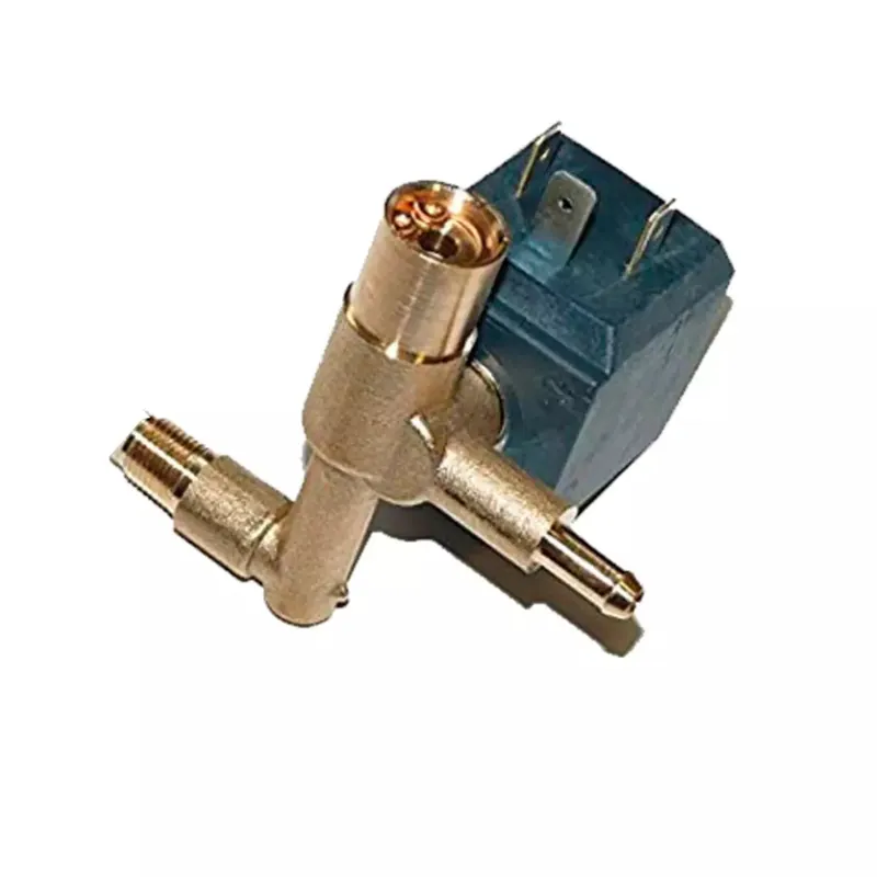 Elettrovalvola Rowenta in ferro - CS-00097843