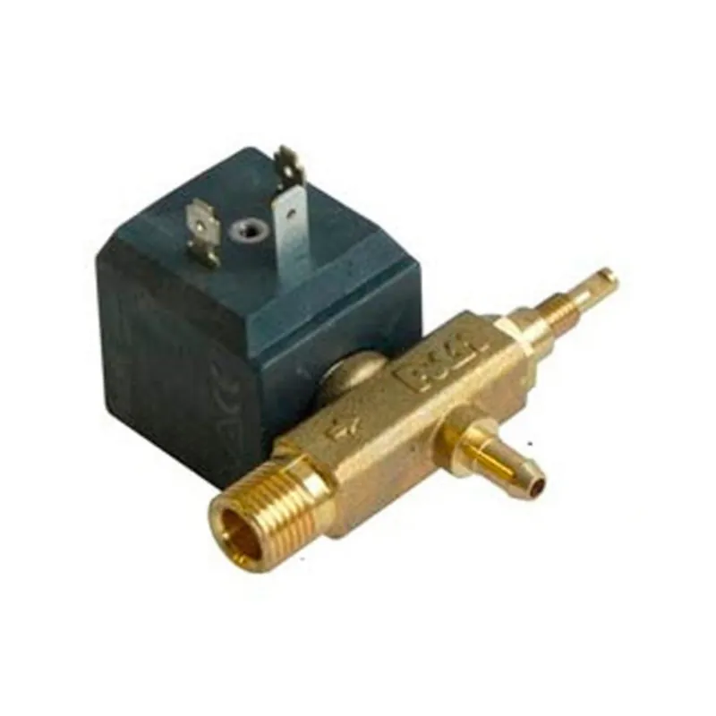 Elettrovalvola Polti Vaporetto M0003177