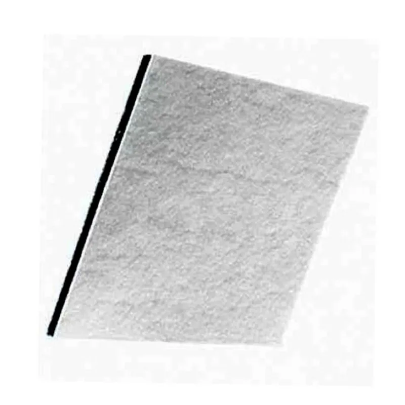 Filtro EF74 per aspirapolvere Electrolux, Aeg Ergoeasy 9001957399