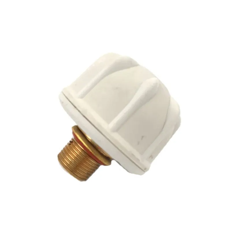 Tappo di sicurezza per vaporiera Polti Smart30S M0006446