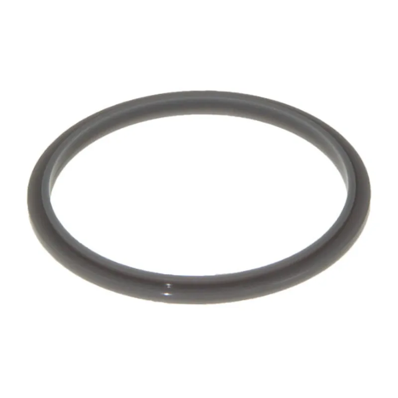 Guarnizione in gomma miscelatore NutriBullet AS00002854