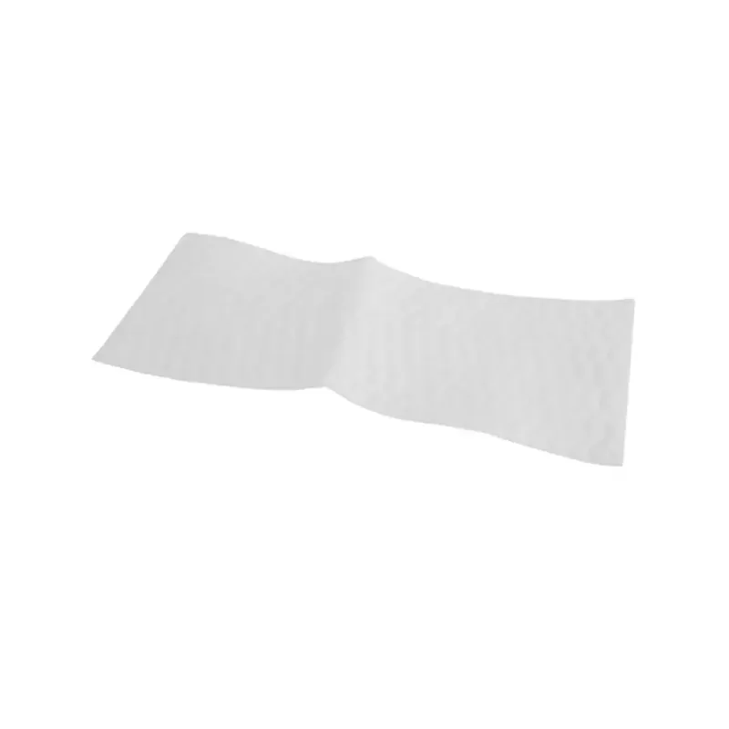 Filtro uscita motore aspirapolvere Bosch 12005614