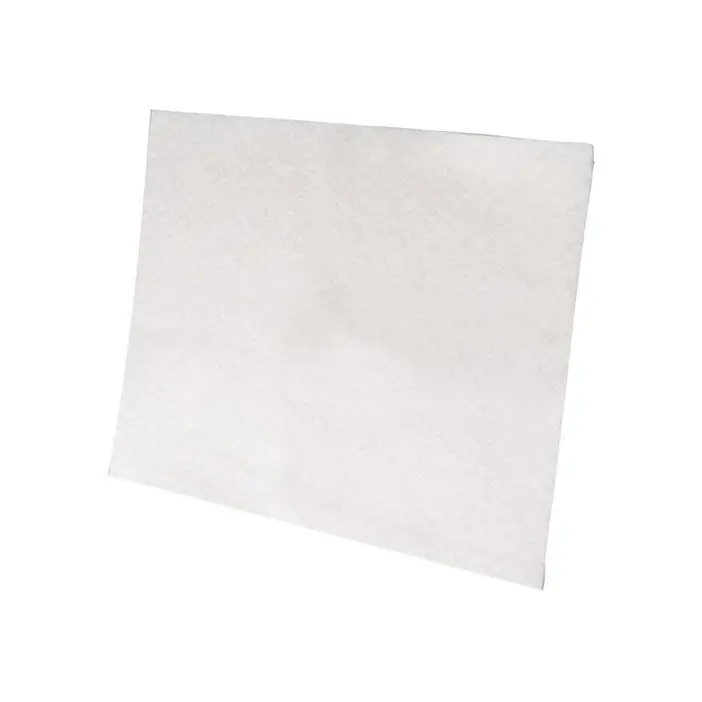 Filtro di protezione del motore per aspirapolvere Electrolux EF1