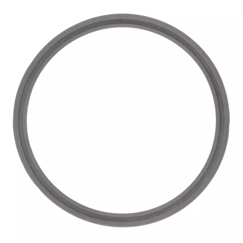 Guarnizione frullatore Moulinex Blendforce MS-651660
