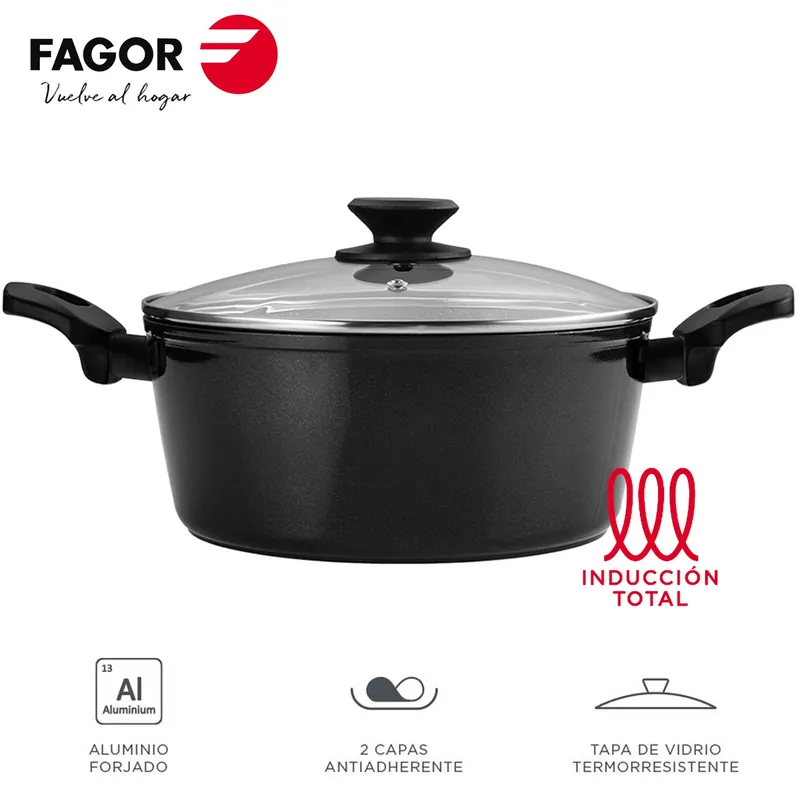 Pentola FAGOR VIVANT nera + Coperchio Ø20
