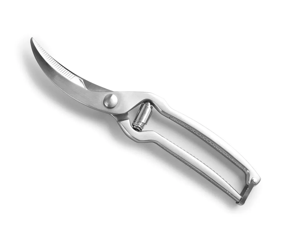 Forbici per uccelli LACOR Inox 60066