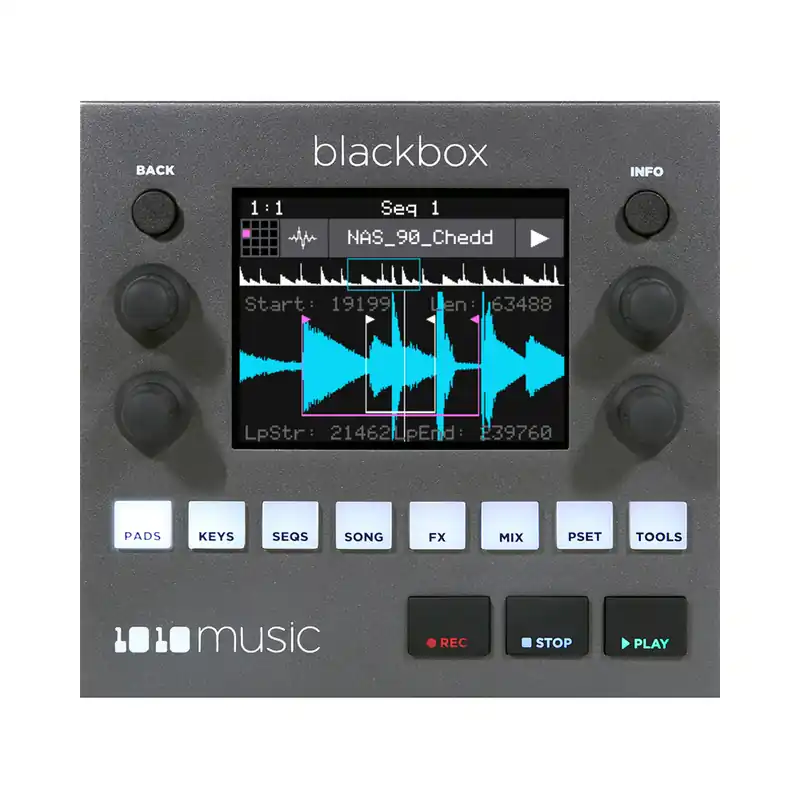LD Systems Maui 5 White
