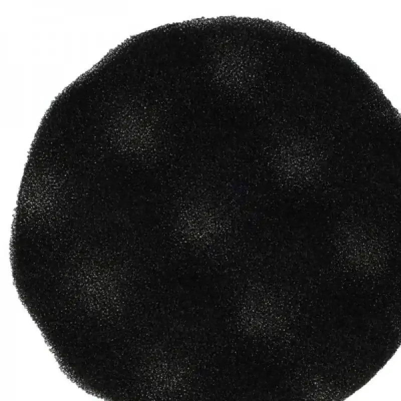 Filtro di spugna per Rowenta Artec 2 / RO4111 / RO4221 / RO4242