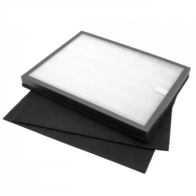 Filtro HEPA per Rowenta Intense Pure Air PU2120