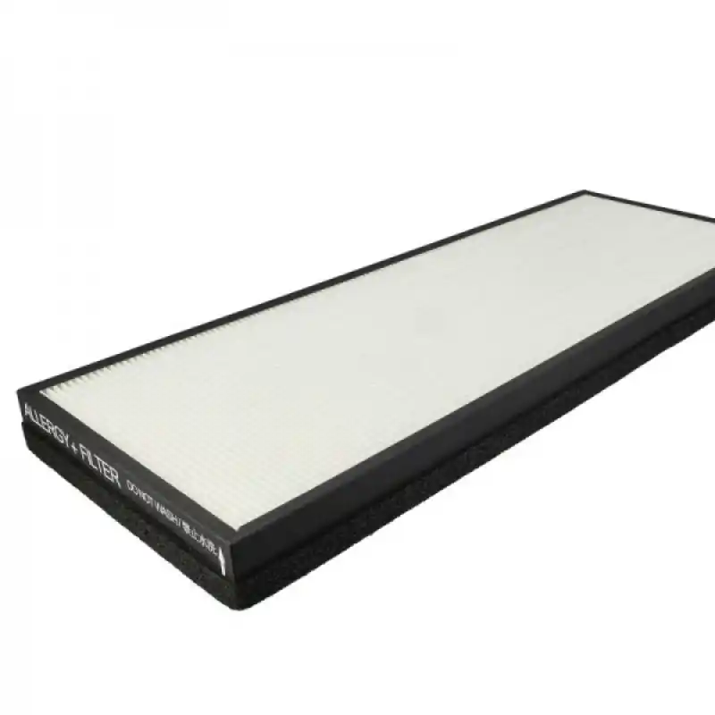 Filtro HEPA per Rowenta Intense Pure Air XL PU6010 / PU6020 / PU6040