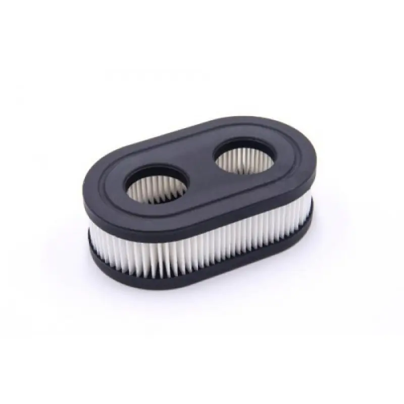 Filtro per Briggs & Stratton 550EX / 575EX / 625 EX / 725 EX
