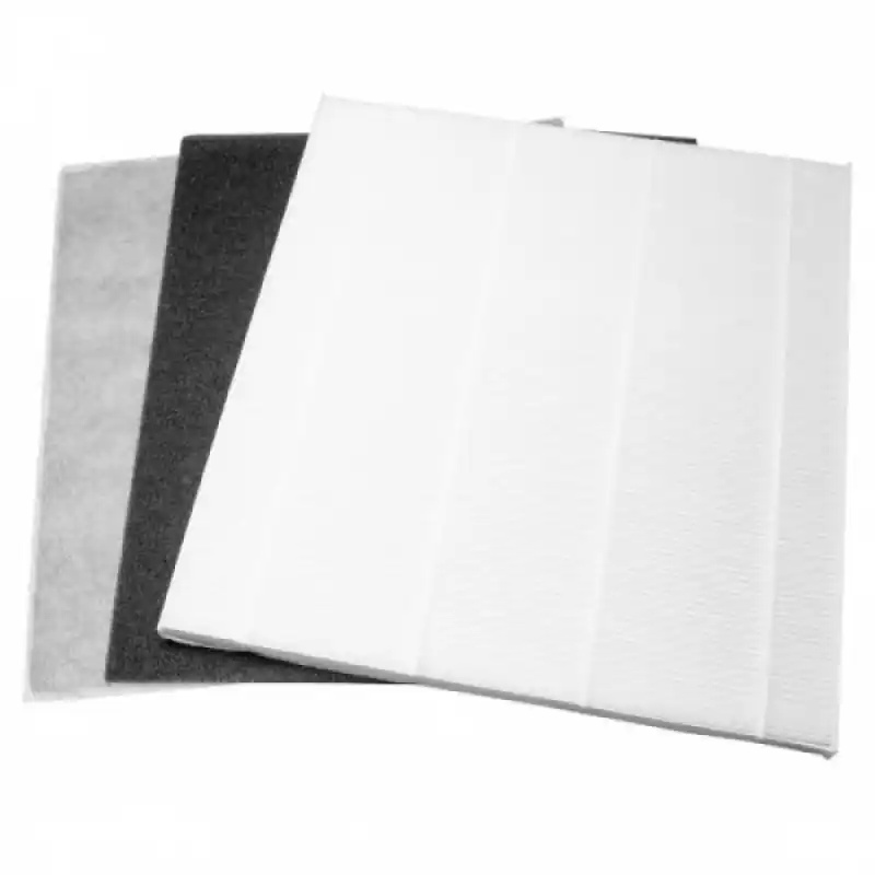 Set di filtri HEPA per DeLonghi DAP 700 / DAP 700 E